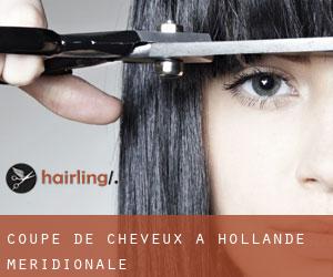 Coupe de cheveux à Hollande-Méridionale