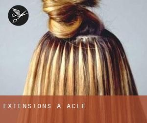 Extensions à Acle