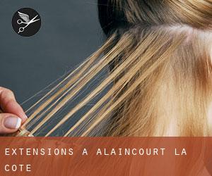 Extensions à Alaincourt-la-Côte