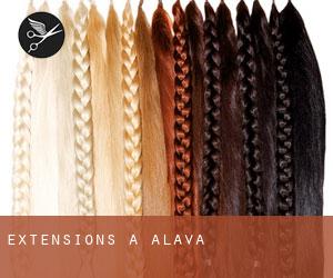 Extensions à Alava