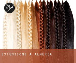 Extensions à Alméria