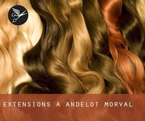 Extensions à Andelot-Morval