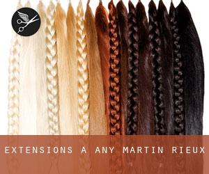 Extensions à Any-Martin-Rieux