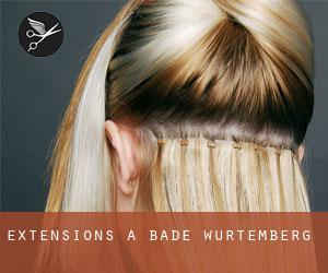 Extensions à Bade-Wurtemberg