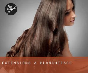 Extensions à Blancheface