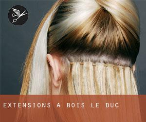 Extensions à Bois-le-Duc