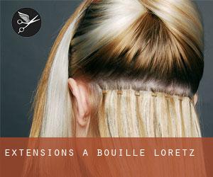 Extensions à Bouillé-Loretz