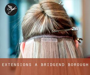 Extensions à Bridgend (Borough)