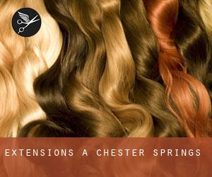 Extensions à Chester Springs
