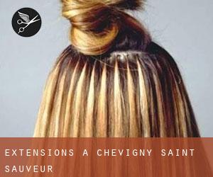 Extensions à Chevigny-Saint-Sauveur
