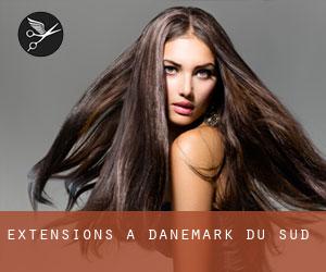 Extensions à Danemark-du-Sud Extensions à Danemark-du-Sud