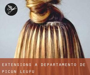 Extensions à Departamento de Picún Leufú