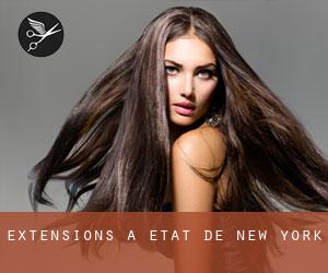 Extensions à État de New York Extensions à État de New York