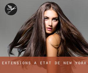 Extensions à État de New York