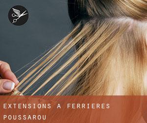 Extensions à Ferrières-Poussarou