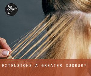 Extensions à Greater Sudbury Extensions à Greater Sudbury