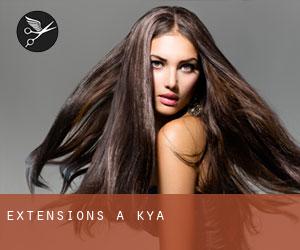 Extensions à Kōya Extensions à Kōya