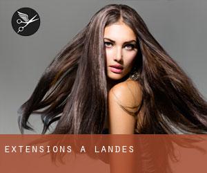 Extensions à Landes Extensions à Landes