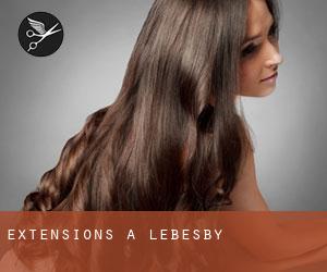 Extensions à Lebesby