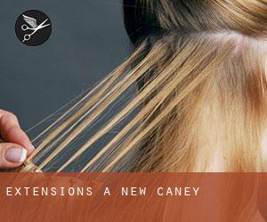 Extensions à New Caney