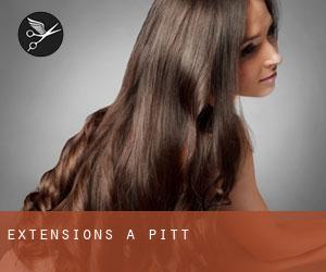 Extensions à Pitt Extensions à Pitt