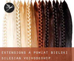 Extensions à Powiat bielski (Silesian Voivodeship) Extensions à Powiat bielski (Silesian Voivodeship)