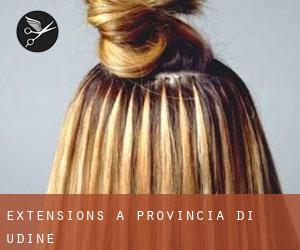Extensions à Provincia di Udine