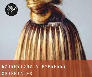 Extensions à Pyrénées-Orientales Extensions à Pyrénées-Orientales