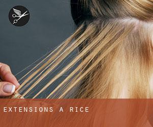 Extensions à Rice