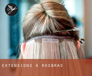 Extensions à Rosbras Extensions à Rosbras