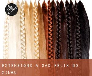 Extensions à São Félix do Xingu Extensions à São Félix do Xingu