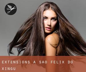 Extensions à São Félix do Xingu Extensions à São Félix do Xingu