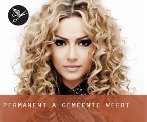 Permanent à Gemeente Weert