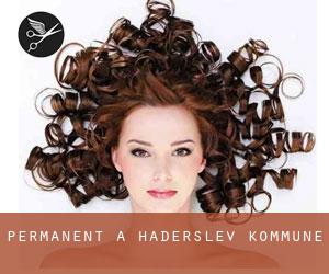 Permanent à Haderslev Kommune Permanent à Haderslev Kommune