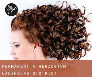 Permanent à Herzogtum Lauenburg District Permanent à Herzogtum Lauenburg District