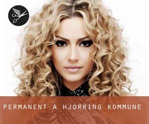 Permanent à Hjørring Kommune Permanent à Hjørring Kommune