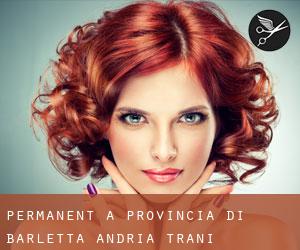 Permanent à Provincia di Barletta - Andria - Trani