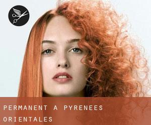 Permanent à Pyrénées-Orientales