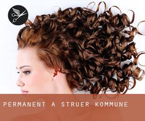 Permanent à Struer Kommune Permanent à Struer Kommune