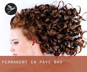 Permanent en Pays-Bas Permanent en Pays-Bas