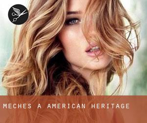 Mèches à American Heritage