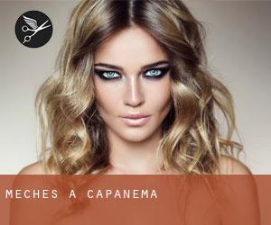 Mèches à Capanema Mèches à Capanema