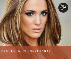 Mèches à Pennsylvanie Mèches à Pennsylvanie