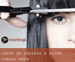 Coupe de cheveux à Acier (census area)