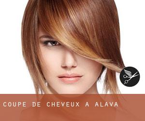 Coupe de cheveux à Alava