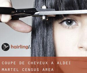Coupe de cheveux à Aldéi-Martel (census area)