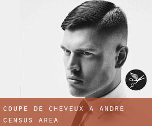 Coupe de cheveux à André (census area) Coupe de cheveux à André (census area)