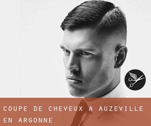 Coupe de cheveux à Auzéville-en-Argonne