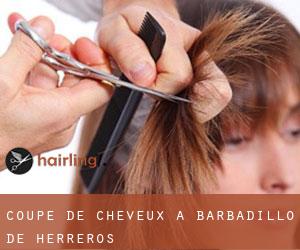 Coupe de cheveux à Barbadillo de Herreros