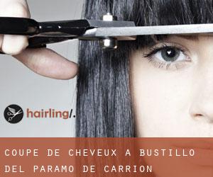 Coupe de cheveux à Bustillo del Páramo de Carrión Coupe de cheveux à Bustillo del Páramo de Carrión